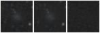 Missing file PGC040434-custom-montage-W1W2.png