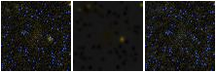 Missing file PGC040511-custom-montage-FUVNUV.png