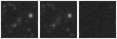 Missing file PGC040511-custom-montage-W1W2.png
