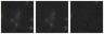 Missing file PGC040617-custom-montage-W1W2.png