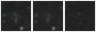 Missing file PGC040779-custom-montage-W1W2.png
