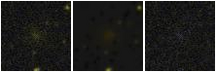 Missing file PGC040834-custom-montage-FUVNUV.png