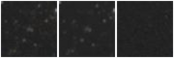 Missing file PGC040881-custom-montage-W1W2.png