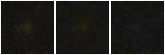 Missing file PGC040912-custom-montage-FUVNUV.png