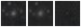 Missing file PGC1374571-custom-montage-W1W2.png