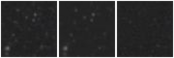 Missing file KHL2017_M87UCD-10-custom-montage-W1W2.png