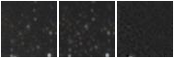 Missing file KHL2017_M87UCD-9-custom-montage-W1W2.png