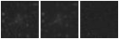 Missing file PGC040972-custom-montage-W1W2.png