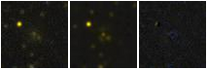 Missing file PGC040995-custom-montage-FUVNUV.png