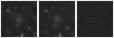 Missing file PGC040995-custom-montage-W1W2.png