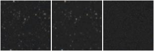 Missing file PGC041182_GROUP-custom-montage-W1W2.png