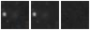Missing file PGC041214-custom-montage-W1W2.png