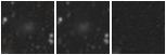 Missing file PGC083543-custom-montage-W1W2.png