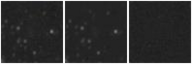 Missing file PGC135807-custom-montage-W1W2.png