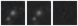 Missing file PGC3089432-custom-montage-W1W2.png