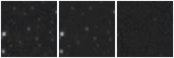 Missing file AGC227895-custom-montage-W1W2.png