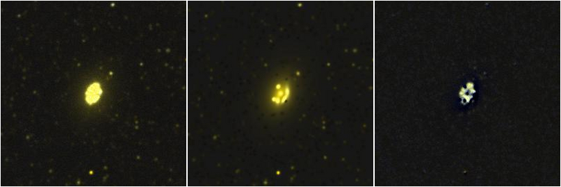 Missing file NGC4531-custom-montage-FUVNUV.png