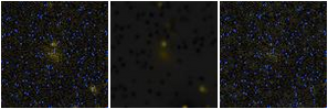 Missing file PGC041544-custom-montage-FUVNUV.png
