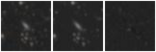Missing file PGC041616-custom-montage-W1W2.png