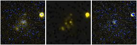 Missing file PGC041667-custom-montage-FUVNUV.png