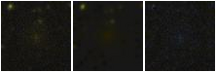 Missing file PGC041826-custom-montage-FUVNUV.png