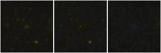 Missing file PGC041979-custom-montage-FUVNUV.png