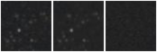 Missing file PGC041979-custom-montage-W1W2.png