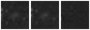 Missing file PGC1198892-custom-montage-W1W2.png