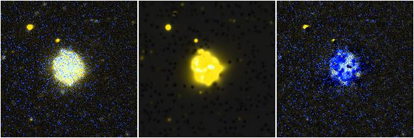 Missing file NGC4561-custom-montage-FUVNUV.png