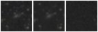 Missing file PGC1159978-custom-montage-W1W2.png