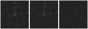 Missing file PGC1161933-custom-montage-W1W2.png