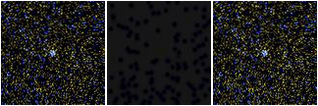 Missing file SDSSJ123701.44+220031.0-custom-montage-FUVNUV.png
