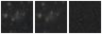 Missing file PGC042454-custom-montage-W1W2.png