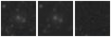 Missing file PGC042758-custom-montage-W1W2.png