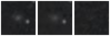 Missing file PGC042779-custom-montage-W1W2.png