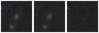 Missing file PGC1155762-custom-montage-W1W2.png