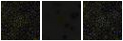 Missing file PGC1170050-custom-montage-FUVNUV.png