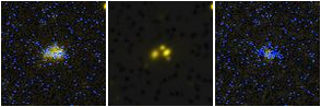 Missing file PGC1207559-custom-montage-FUVNUV.png