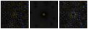 Missing file PGC1215961-custom-montage-FUVNUV.png