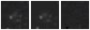 Missing file SDSSJ124042.09+054856.1-custom-montage-W1W2.png
