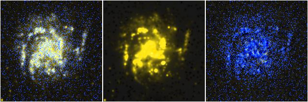 Missing file NGC4688-custom-montage-FUVNUV.png