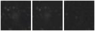 Missing file PGC042888-custom-montage-W1W2.png
