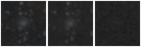 Missing file PGC042920-custom-montage-W1W2.png