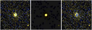 Missing file PGC043121-custom-montage-FUVNUV.png