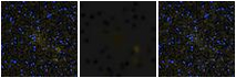 Missing file PGC1189866-custom-montage-FUVNUV.png