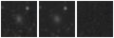Missing file PGC1189866-custom-montage-W1W2.png