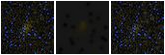 Missing file PGC1212399-custom-montage-FUVNUV.png