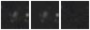 Missing file PGC1212399-custom-montage-W1W2.png