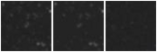 Missing file PGC2687514-custom-montage-W1W2.png