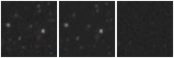 Missing file AGC227973-custom-montage-W1W2.png